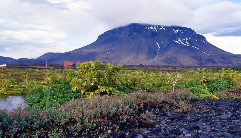 4-19_Herðubreiðarlindir