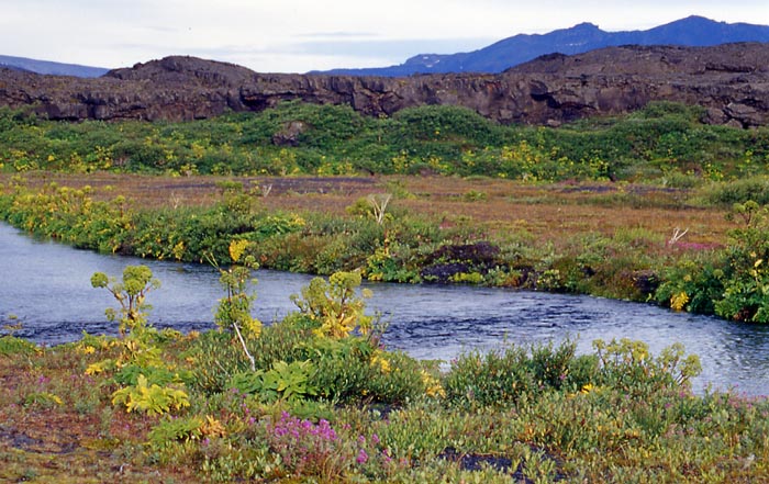 4-20_herdubreidarlindir