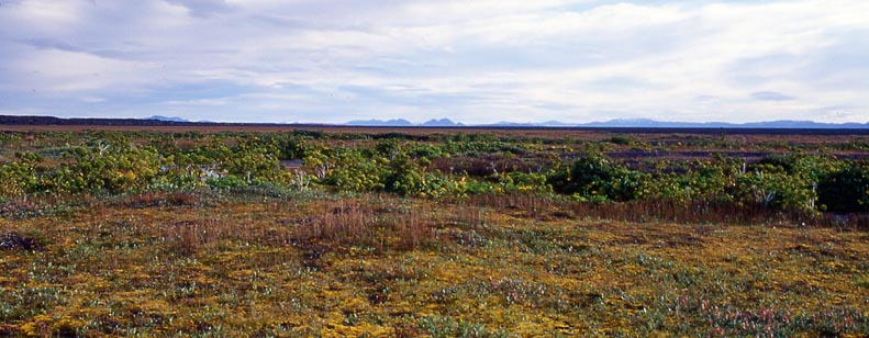 4-22_Herðubreiðarlindir