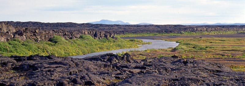 4-27_Herðubreiðarlindir