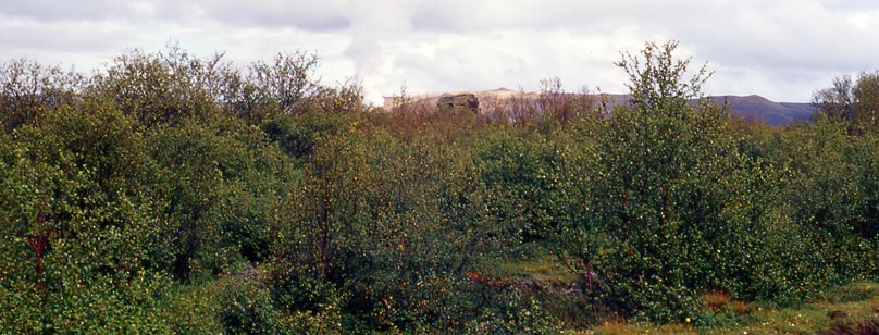 5-36_dimmuborgir