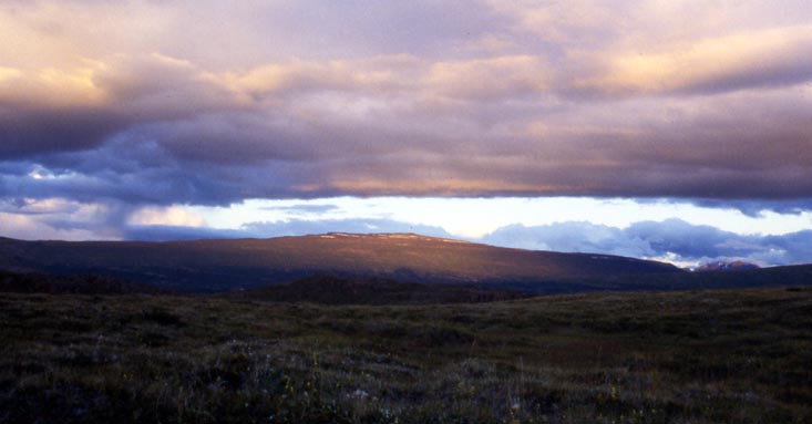 16_abend_bei_moedrudalur